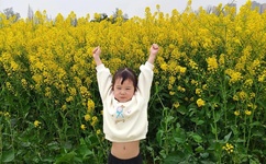 美美哒免费高清影院在线直播